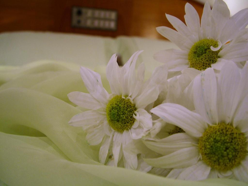 Cristal Executive Hotel Francisco Beltrão 部屋 写真